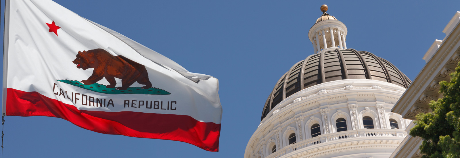 Capital Building and the California flag