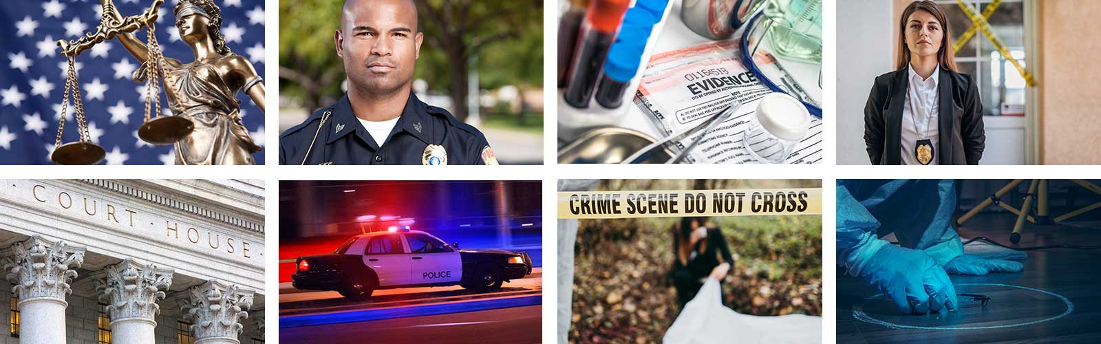 A selection of images depicting various criminology careers.