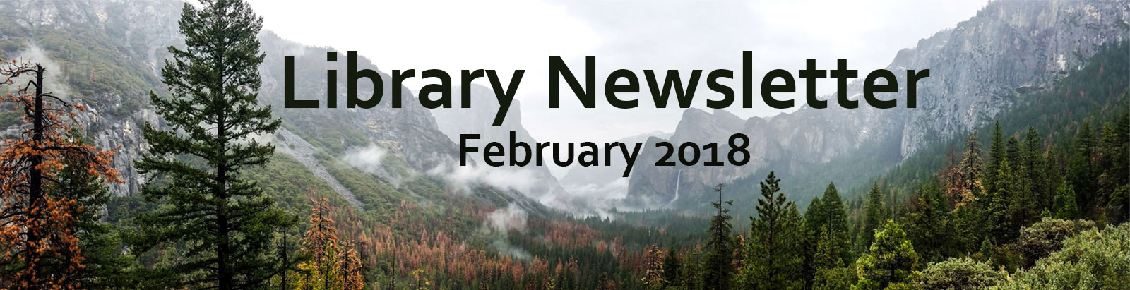 Library Newsletter - February 2018