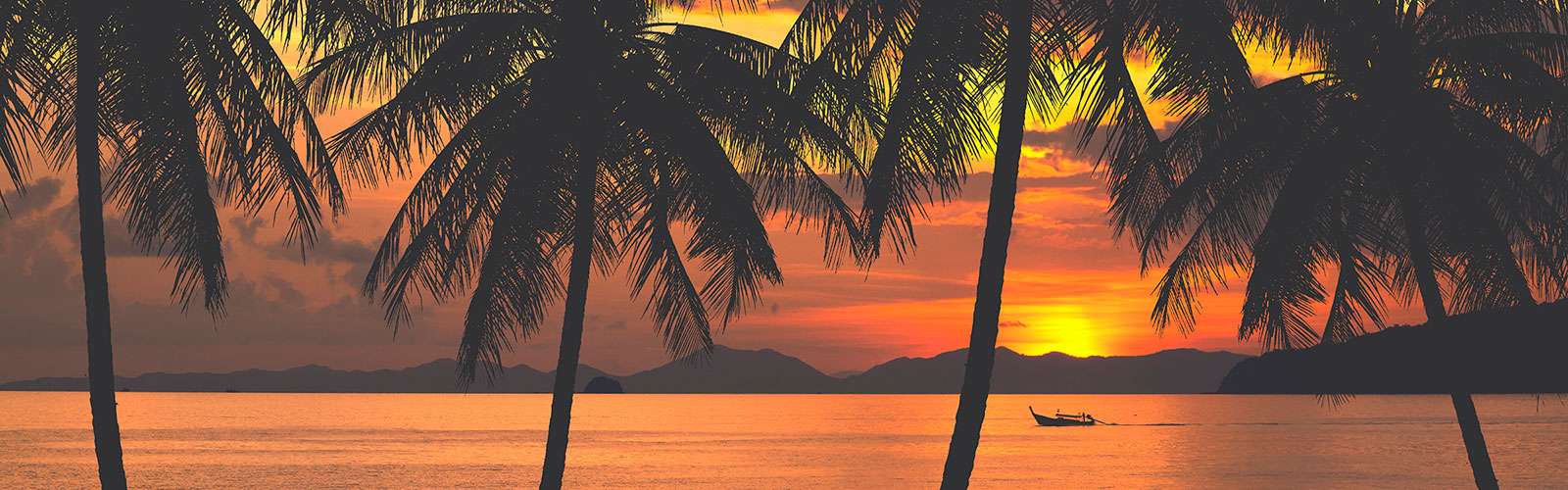 Sunset over the ocean with palm trees in the foreground