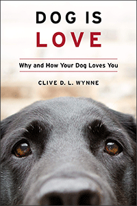 Dog Is Love  by Clive D L Wynne