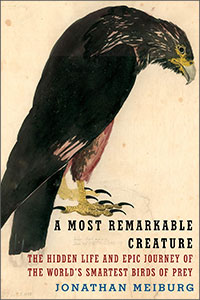most remarkable creature