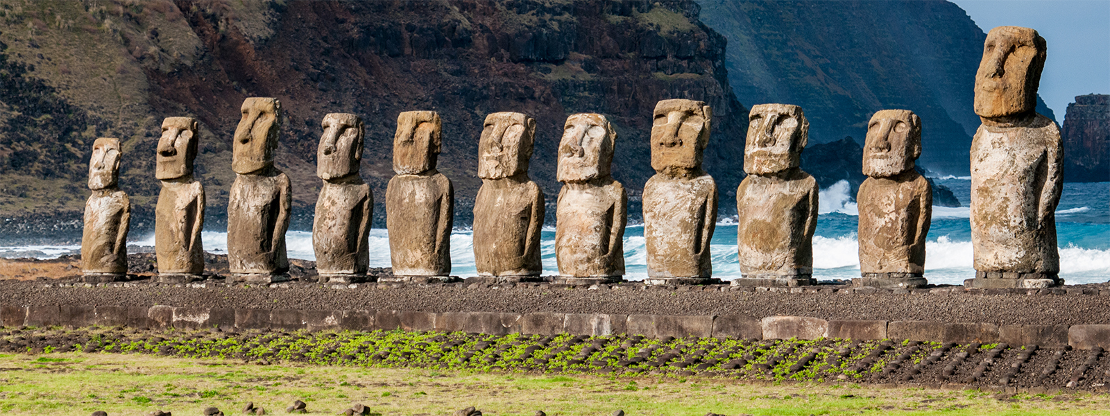 A selection of pictures depicting various areas of anthropological study