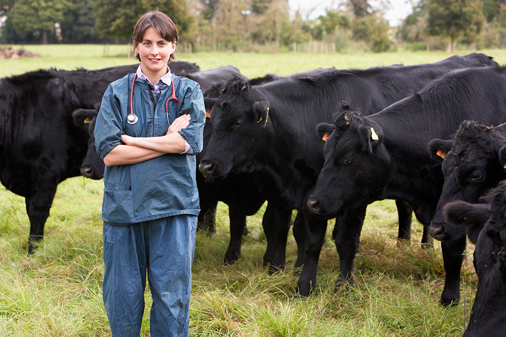 Portrait Of Vet In Field With Cattle