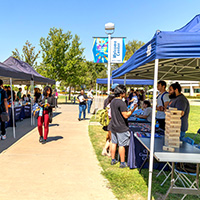A student looking at different club booths