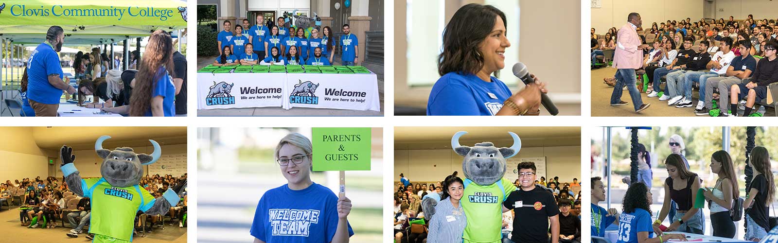 Collage of employees and students