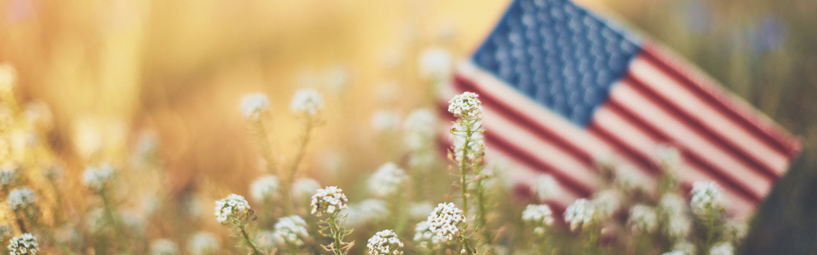 American flag in the grass
