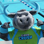 Crush mascot by the pool