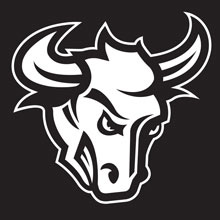Crush bull head in black and white