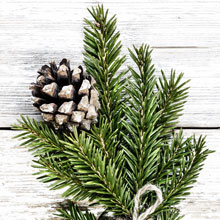 Christmas tree with acorn on white wooden board