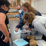 students gathered around science experiment