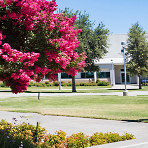 clovis community college campus in the summer