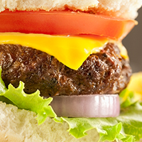 Close-up of a cheeseburger