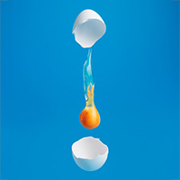 Broken Egg