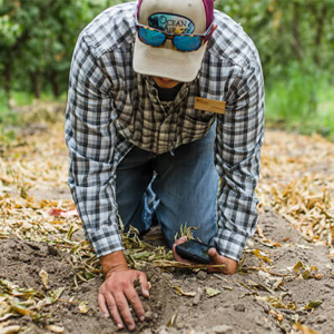 farm worker