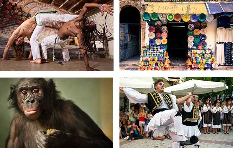 A monkey, cultural dancing, and Mexican pottery
