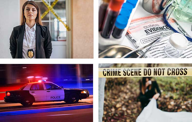 A female police woman, the contents of an evidence bag, an American police car, and a crime scene