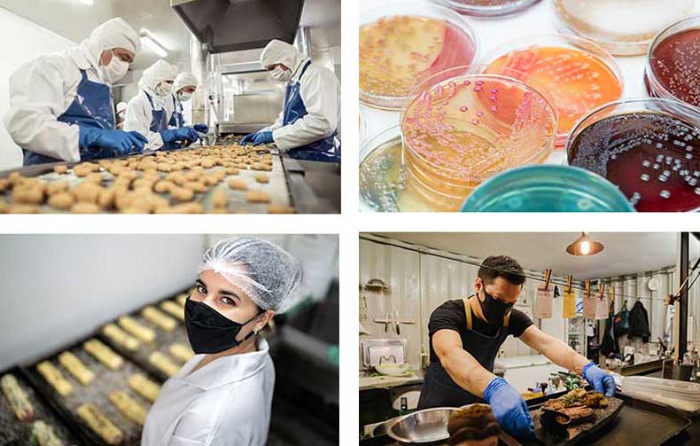 Workers on a food conveyor belt line, petri dishes, woman wearing food safety gear, man cooking in restaurant 