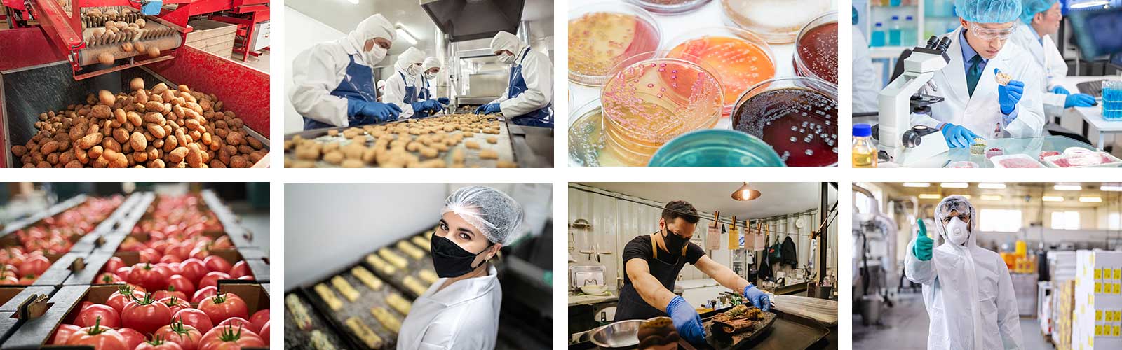 A selection of images of depicting food processing and food safety