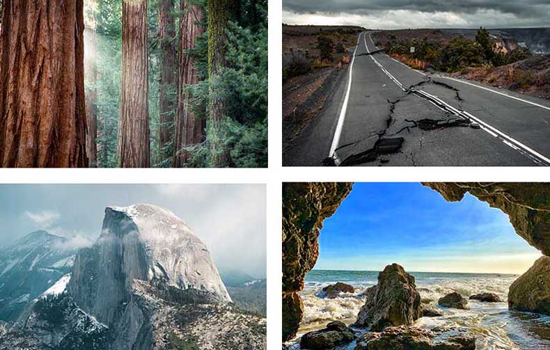 A forest, an open road, Half Dome in Yosemite, and an ocean cave