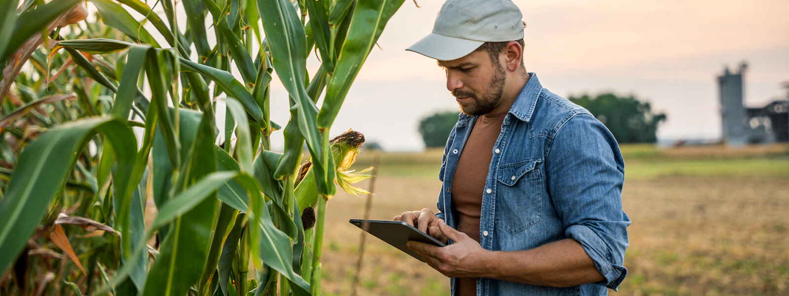 Farm worker inspecting crops
