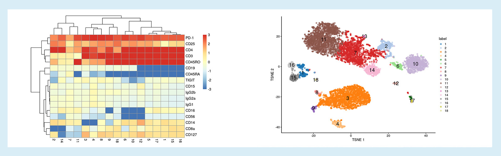 data visualization