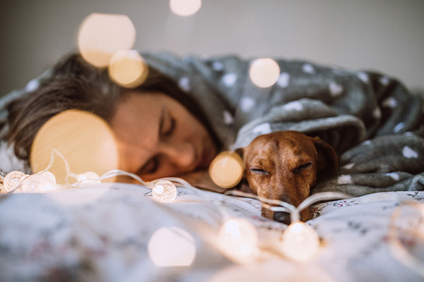 woman and dog sleeping under a blanket