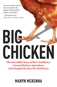 Big Chicken book cover