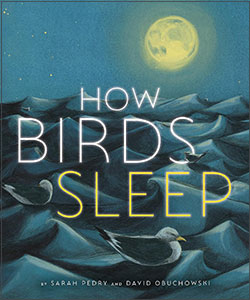 How Birds Sleep