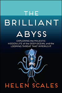 brilliant abyss