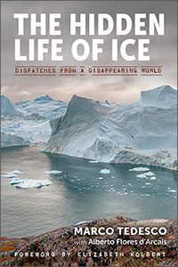 Hidden Life of Ice