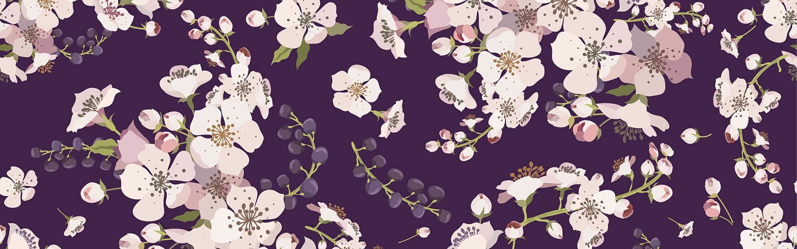 pink cherry blossoms on a purple background