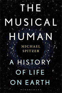 Musical human
