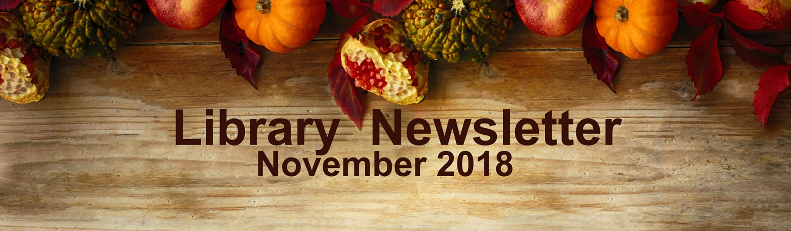 Library Newsletter - November 2018