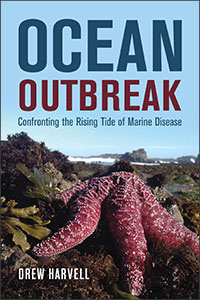 ocean outbreak