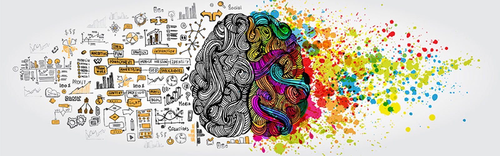 A drawing of a brain demonstrating left and right functions