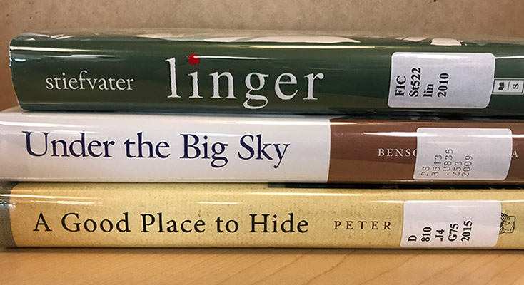 Spine poem example