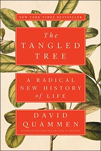 The Tangled Tree