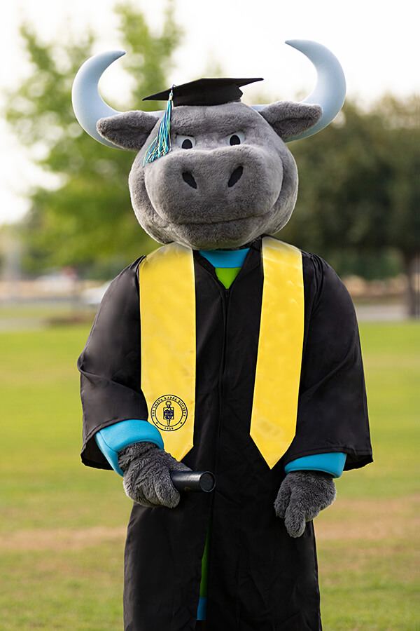 Phi Theta Kappa Stole