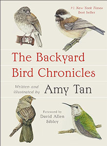 backyard bird chronicles