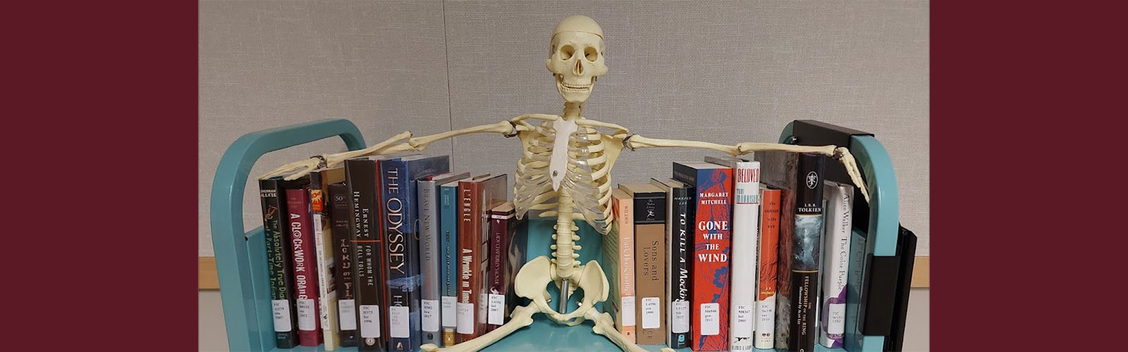 A skeleton model sitting with challenged books.