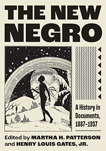 Cover illustration for "The New Negro: A History in Documents, 1887-1937," edited by Martha H. Patterson and Henry Louis Gates, Jr. The design features a silhouette against a starry sky and abstract landscape.