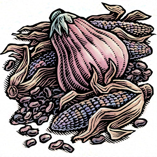 graphic depiction of the three sisters: corn, squash, and beans